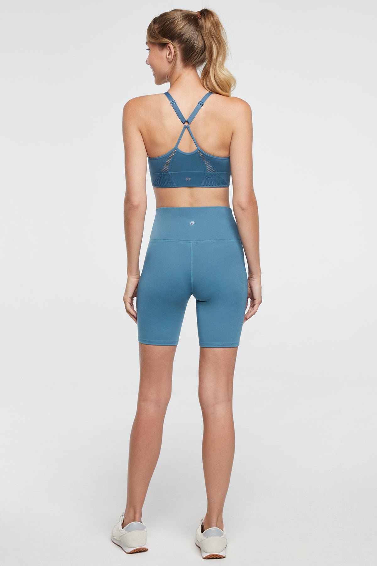 Blue Agave - 3 Items