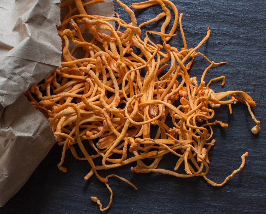 Defense Mechanisms | 5 Foods That Will Upgrade Your Immune System