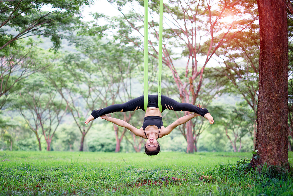 FUN SALUTATIONS! – Ellie