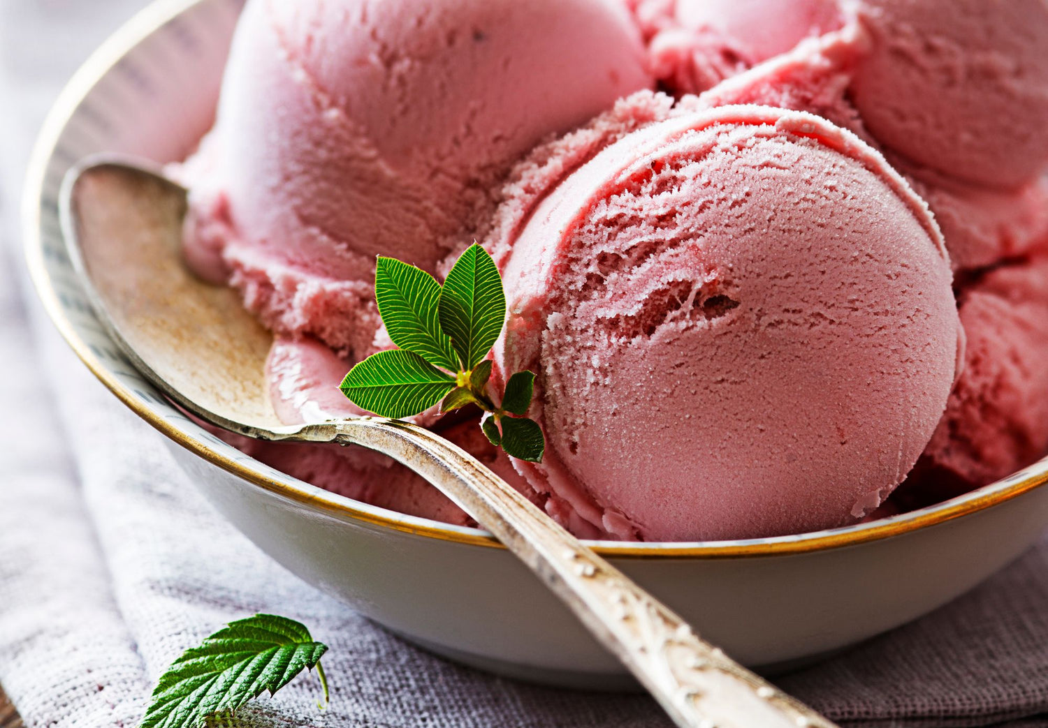 Indulge in the Sweet Symphony of Homemade Fruit Ice Cream on National Ice Cream Day!