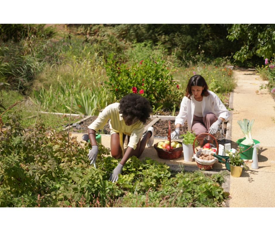 Garden Your Way To Better Health
