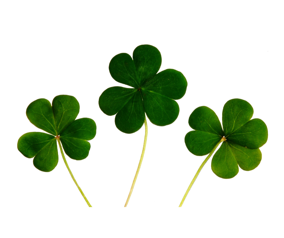Why You Should Give Irish Dance A Go