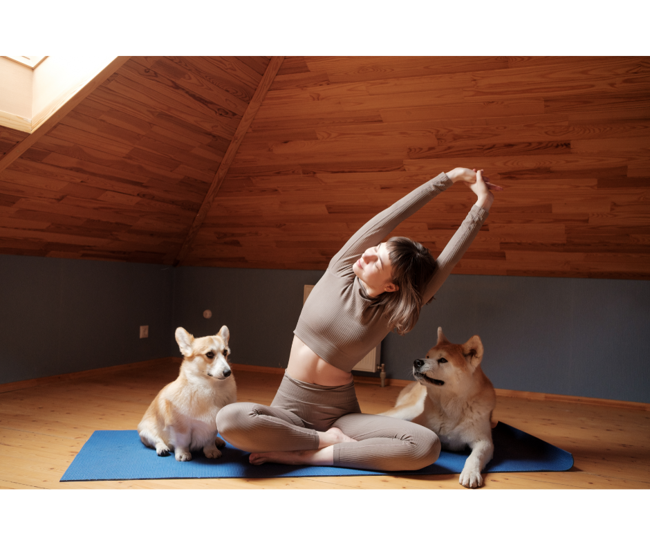 From Furry Friend to Workout Buddy!